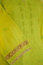 Gota Jali Embroidered Elegance. - Image 5