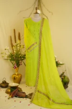 Gota Jali Embroidered Elegance. - Image 6