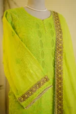 Gota Jali Embroidered Elegance. - Image 9