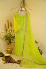 Gota Jali Embroidered Elegance.