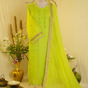 Gota Jali Embroidered Elegance.