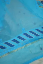 Elegant Blue Bakhiya Ghas Patti Suit. - Image 7