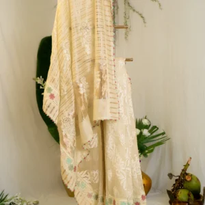 Multicolour Appliqué Saree with Banarasi Border.