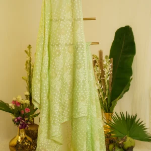 Green Saree with Ghas Patti & Phanda Embroidery.