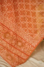 Ombré Anarkali Suit with All-Over Tapechi Embroidery & Silver Mukaish Work. - Image 4