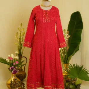 Golden Tissue Cutwork Anarkali.