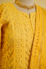 Elegant Cutwork Anarkali Set. - Image 9