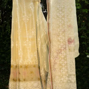 Silk Organza Saree with Tapechi & Zardozi Embroidery.