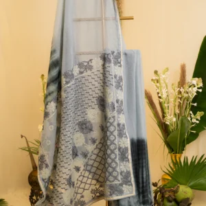 Shibori-Dyed Kota Saree with Bakhya Embroidery.